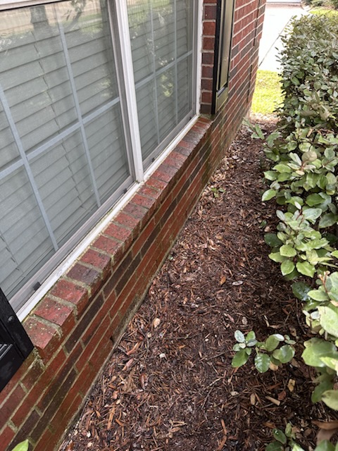 Exterior window cleaning project